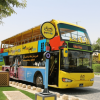 24 Hour Hop On Hop Off Sightseeing Tour, Doha