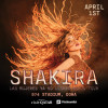 Shakira Live at 974 Stadium in Doha