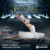 Swan Lake in Doha, Qatar